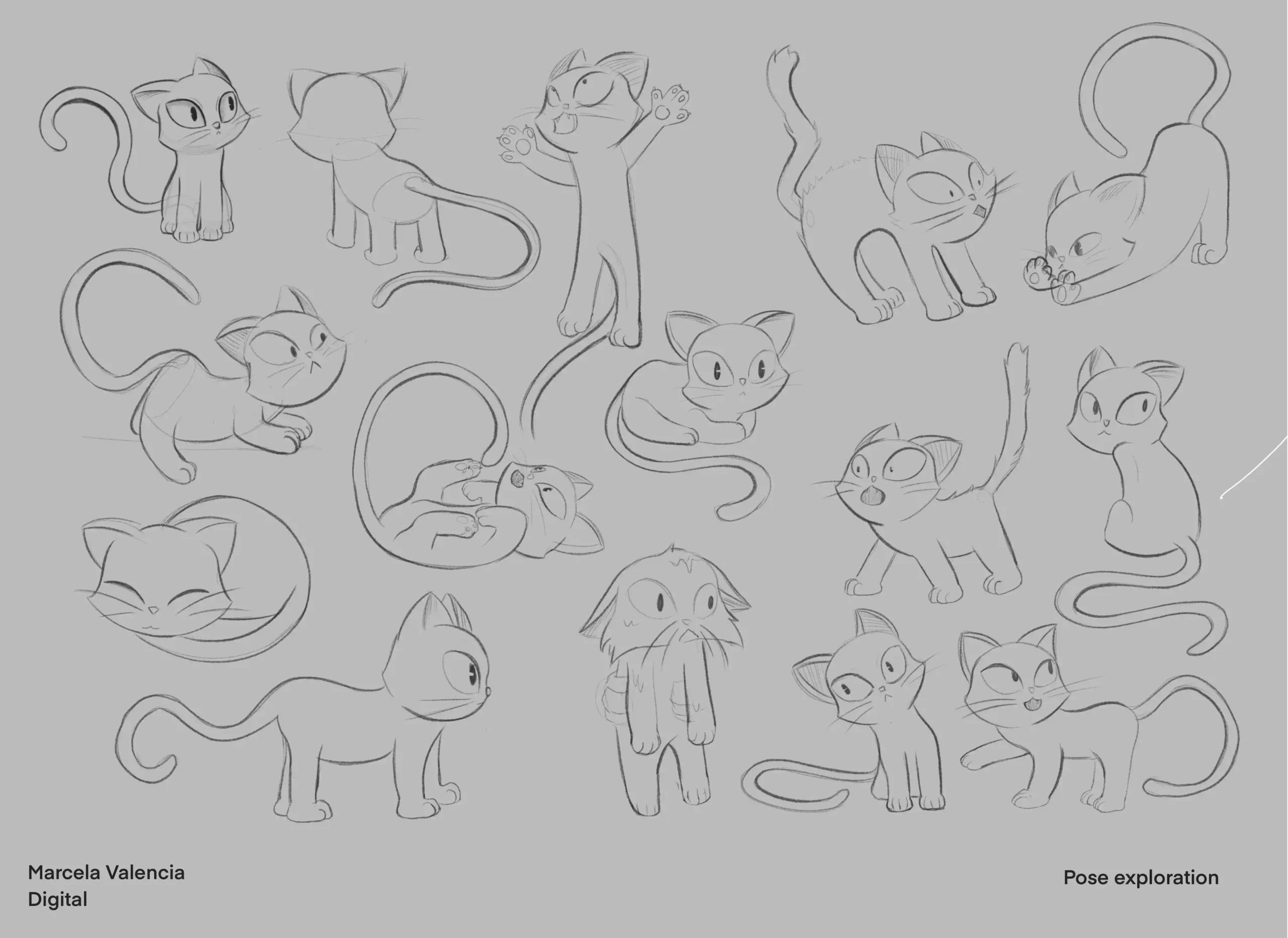 Cat Pose Exlploration_Carpet Weavers (Studio Neera)